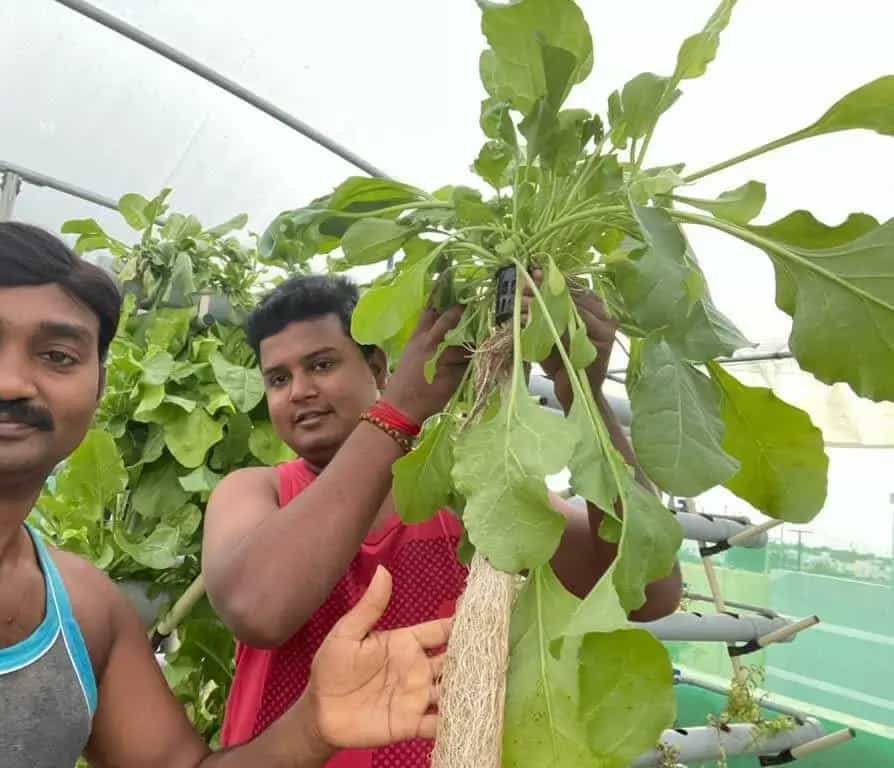 Aquaponics Neelithal Happy customer 3 after training