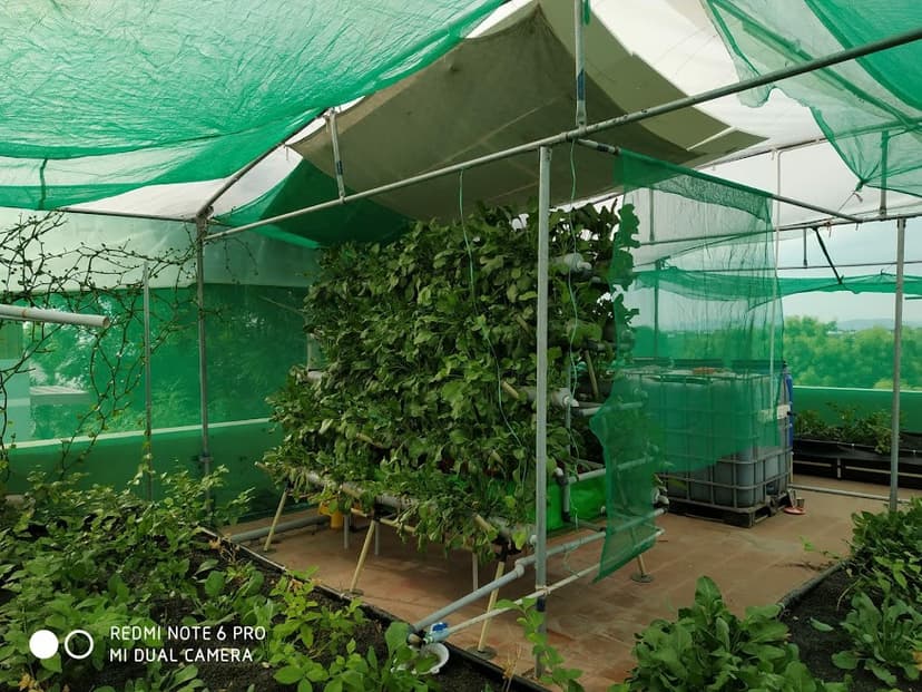 Urban aquaponics on Indian Rooftop