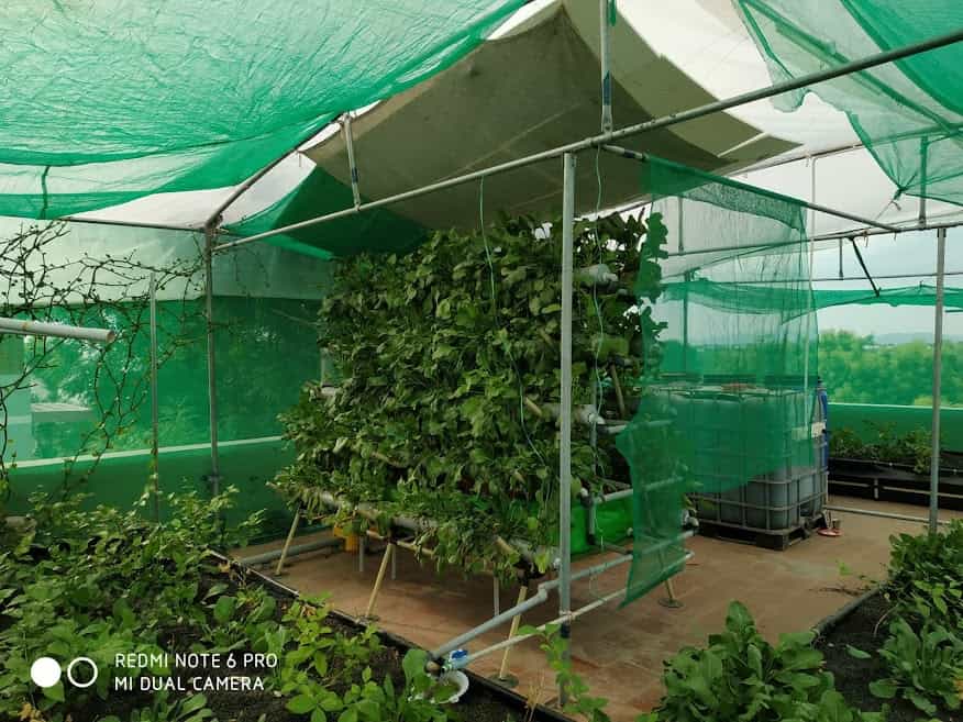Customer Aquaponics Home System 1