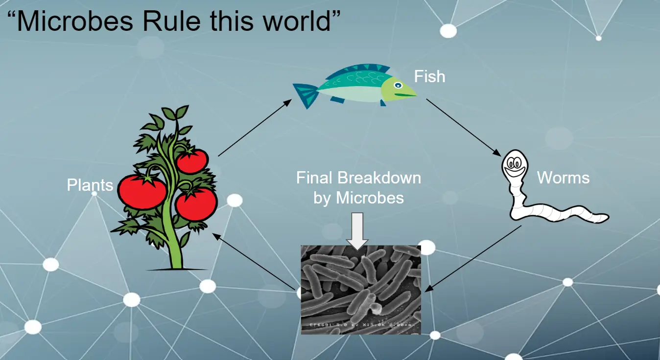 Fundamentals of Natural Farming Image