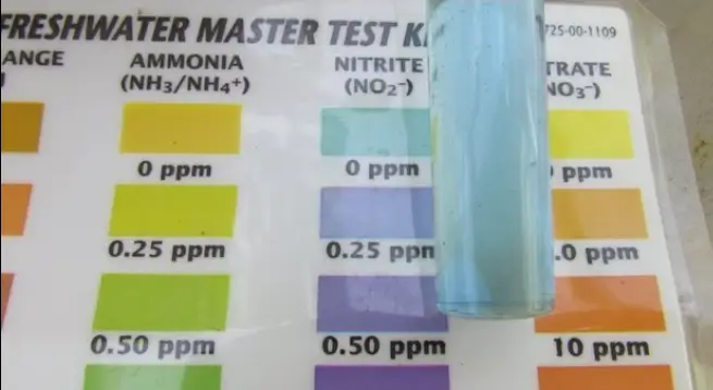 Water Quality Parameters in Aquaponics Image